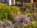DSCF7445